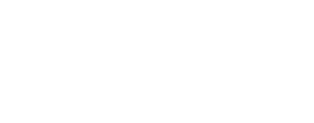 Snyder Logo